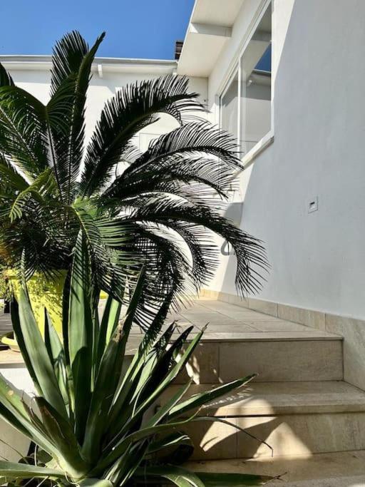Naples In The History 4M Bed & Breakfast Exterior foto